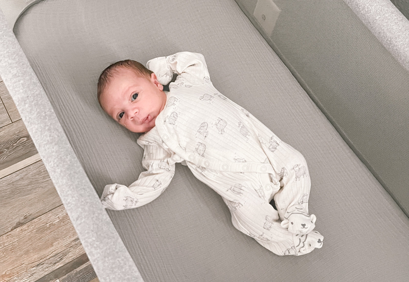 Bassinet Extra Sheets - Image 9